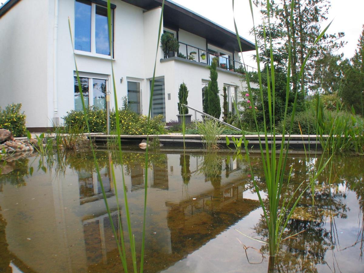Ferienwohnung In Waldrandlage Zierenberg Kültér fotó